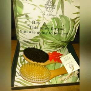 ZB Naturals Negative Ion Wet & Dry Body Brush Set